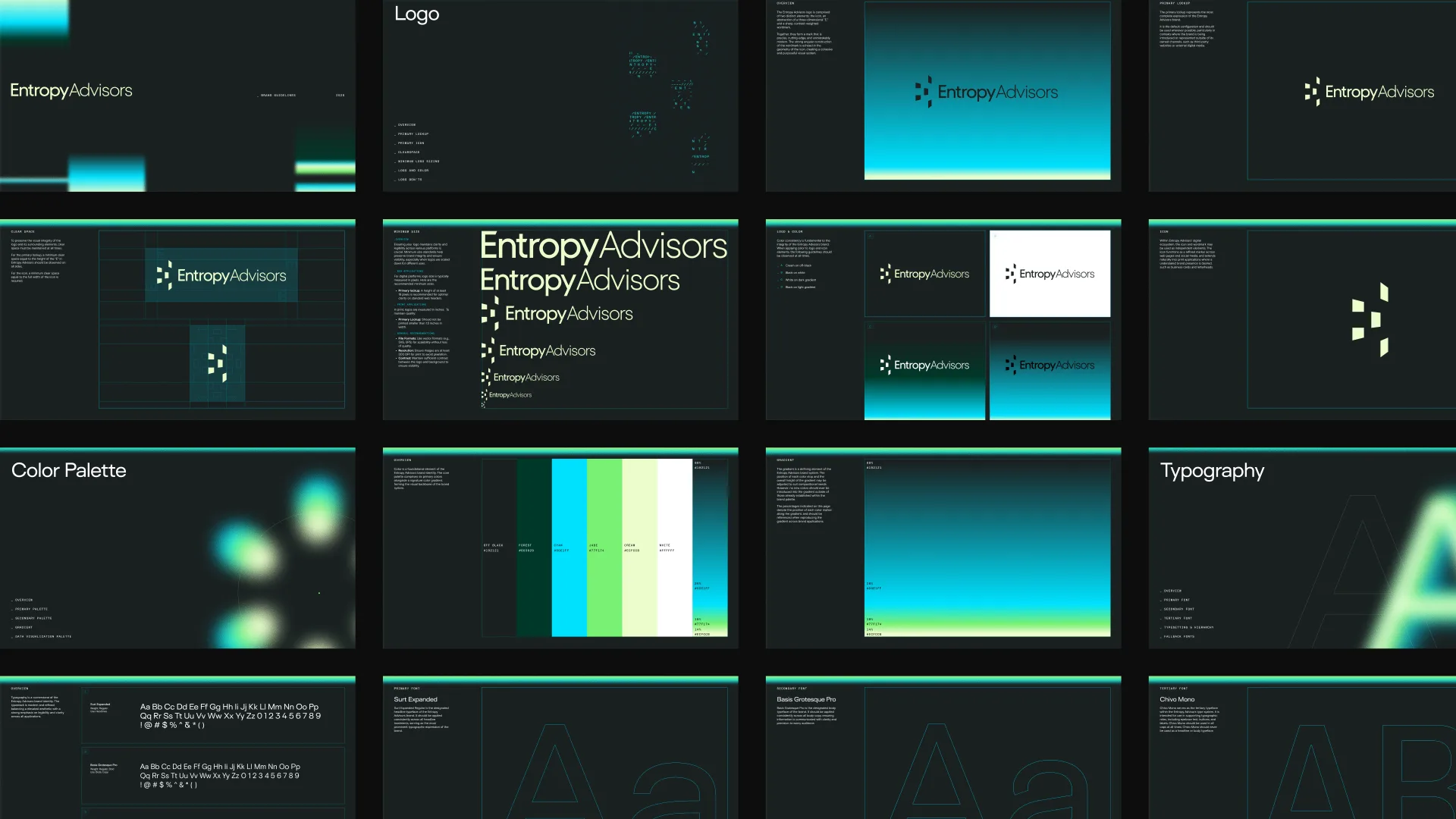 Entropy — case study image